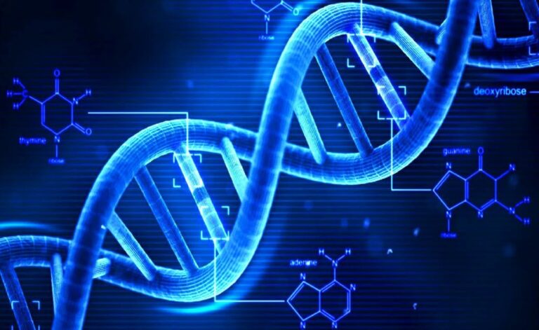 DNA compie 70 anni