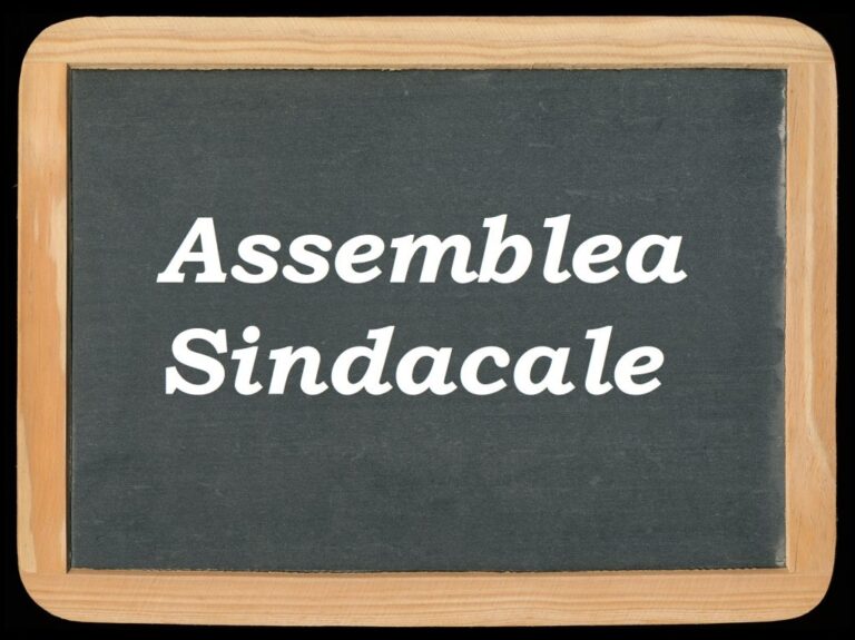 Assemblea Sindacale Unitaria Regionale on line